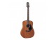 Takamine GTAGD11MNS