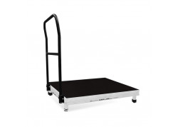 TARIMA DIRECTOR GUIL MOD TMD 10 DE 1.20 X 1 MTS CON BARANDILLA CON PATAS REGULABLE