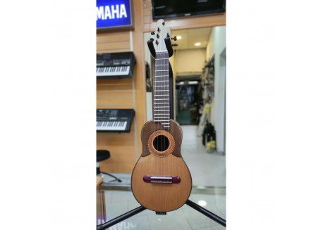 TIMPLE DIEGO MONTES EN WENGUE TAPA DE CEDRO 1ª PALA 2 + 3 CLAVIJA NEG