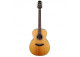 GUITARRA ACUSTICA TAKAMINE MOD GN 20 NS NATURAL SATIN ENTERA